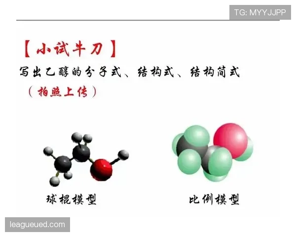 新手教你掌握篮球底线发球的操作方法与注意事项
