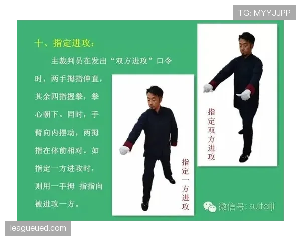 深入解读进攻时间规则，明确篮球比赛中重置与违例的判定依据